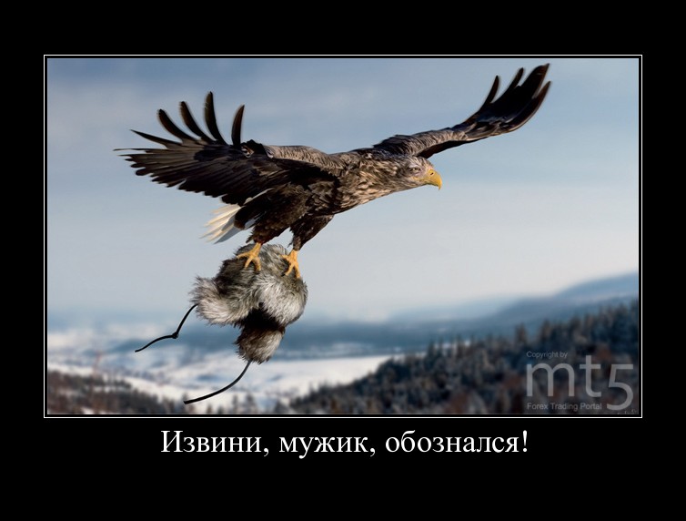 61add6e90c252bca701ace18cd4066bb.JPG