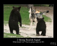 2 Strong Bearish Signal
