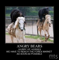 ANGRY BEARS