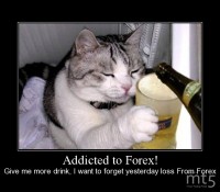 Addicted to Forex!