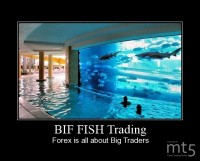 BIF FISH Trading