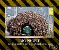 BIG PROFIT