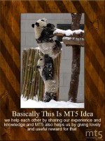 Basically This Is MT5 Idea