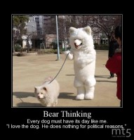 Bear Thinking