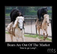 Bears Are Out Of The Market