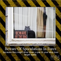 Beware Of Speculations In Forex