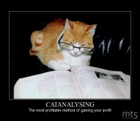 CATANALYSING
