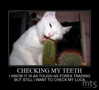 CHECKING MY TEETH