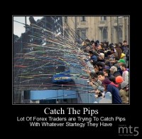 Catch The Pips