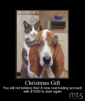 Christmas Gift