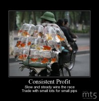 Consistent Profit