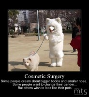 Cosmetic Surgery