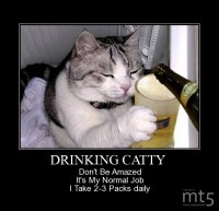 DRINKING CATTY 