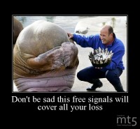 Don't be sad this free signals will cover all your loss