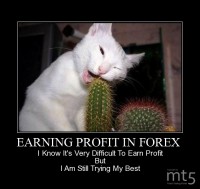 EARNING PROFIT IN FOREX 