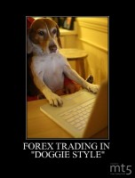 FOREX TRADING IN 
ˮDOGGIE STYLEˮ