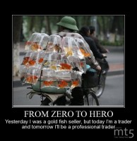 FROM ZERO TO HERO