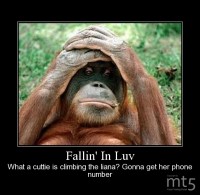 Fallin' In Luv