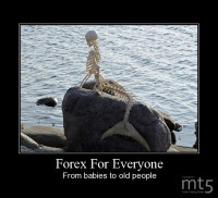 Forex For Everyone