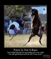 Forex Is Not A Race