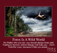 Forex Is A Wild World