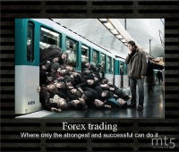 Forex trading