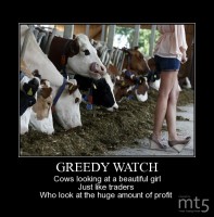 GREEDY WATCH