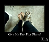 Give Me That Pips Please!