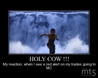 HOLY COW !!!