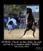 HORSE: Check on this dude, he just got hit by a market spike! Hihihi!