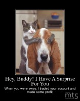 Hey, Buddy! I Have A Surprise For You