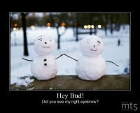 Hey Bud!