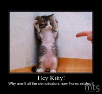 Hey Kitty!
