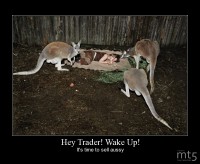 Hey Trader! Wake Up!
