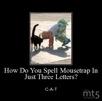 How Do You Spell Mousetrap In Just Three Letters?
