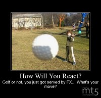 How Will You React?