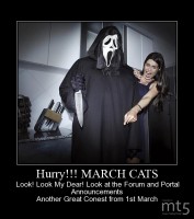 Hurry!!! MARCH CATS