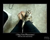 I Beg You Pleeeease!