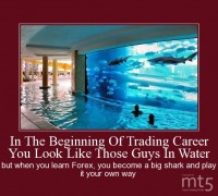 In The Beginning Of Trading Career You Look Like Those Guys In Water