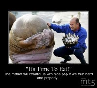 ˮIt's Time To Eat!ˮ