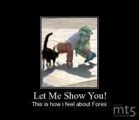 Let Me Show You!