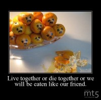 Live together or die together or we will be eaten like our friend.