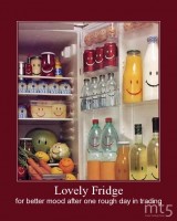 Lovely Fridge