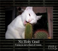 No Holy Grail