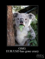 OMG 
EUR/USD has gone crazy
