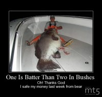 One Is Batter Than Two In Bushes 
