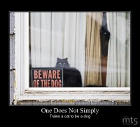 One Does Not Simply