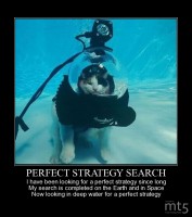 PERFECT STRATEGY SEARCH