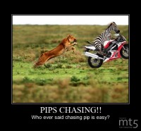 PIPS CHASING!!