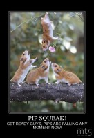 PIP SQUEAK!